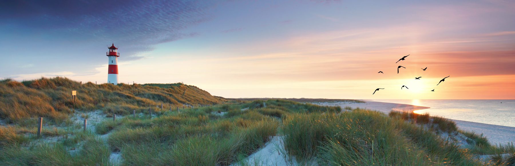 Unser Sommerkurs auf Sylt – Wind, Wellen und Wirtschaftsmediation!