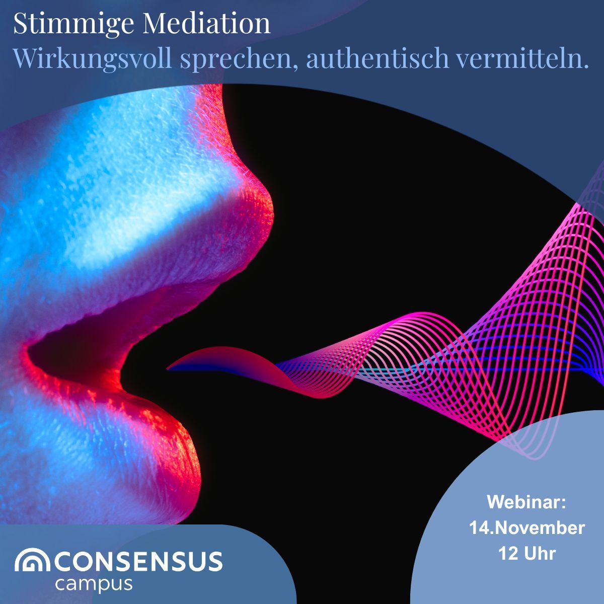 Stimmige Mediation – Wirkungsvoll sprechen, authentisch vermitteln
